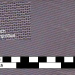 Fine Mesh