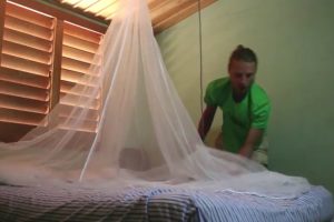 AufbauVideo Baldachinnetz