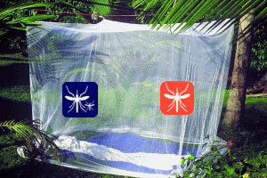 muecke_klein_icon